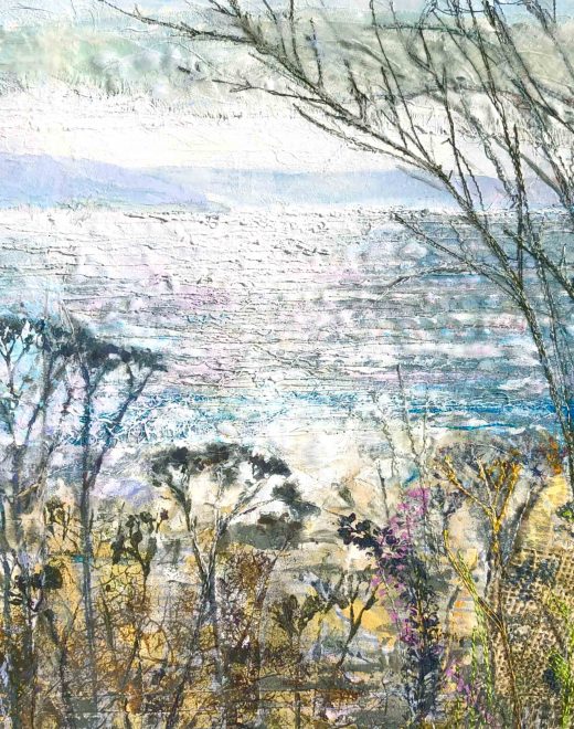 Sue Haseltine