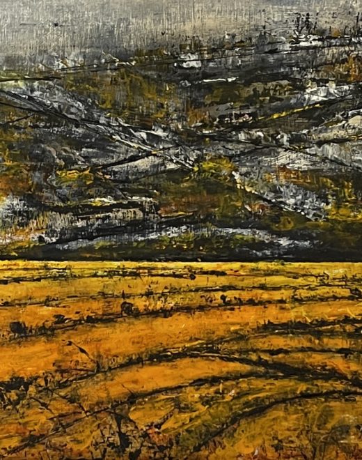 Mark Wilson