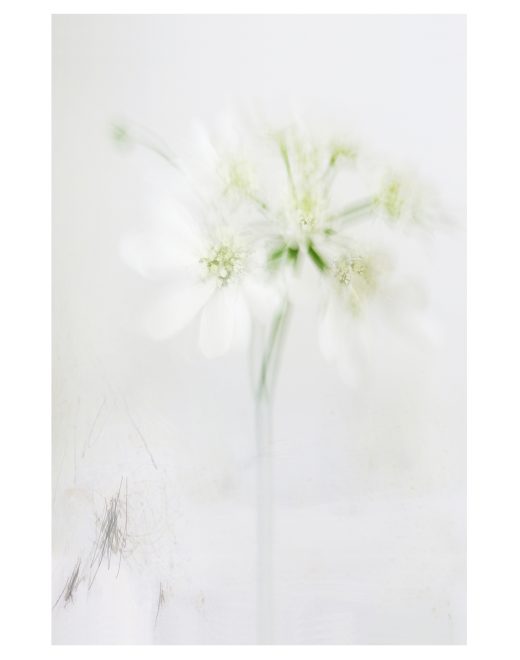 Kathryn Jones Romain